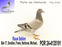 POR 24-4135191